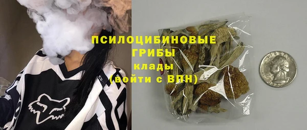 mdpv Богданович