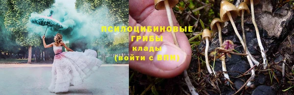 мдма Богородицк