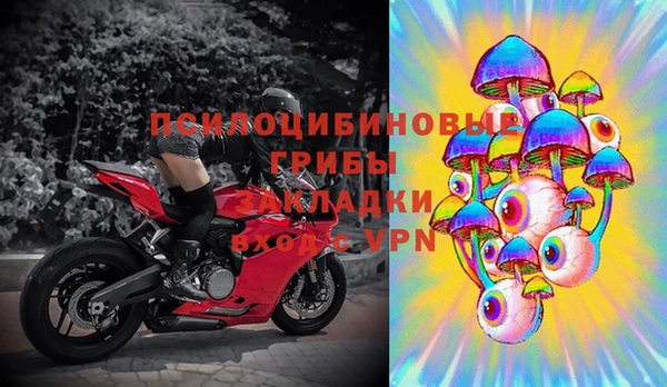 мдма Богородицк